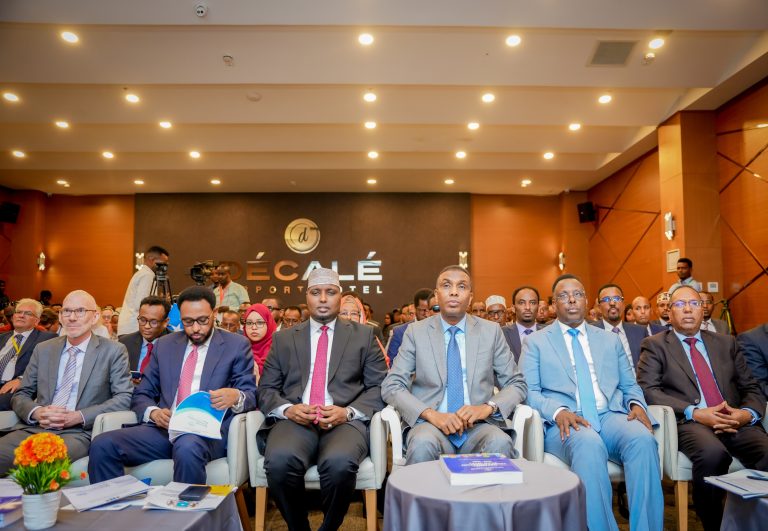 Federal Government–Donor Roundtable on Development Finance