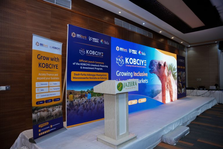 Launching KOBCIYE Initiative (Full Event Management Service)